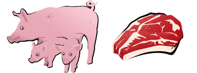 Illustration Schweinefamilie und Fleisch